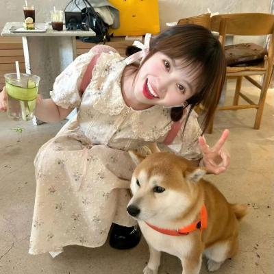 女猫