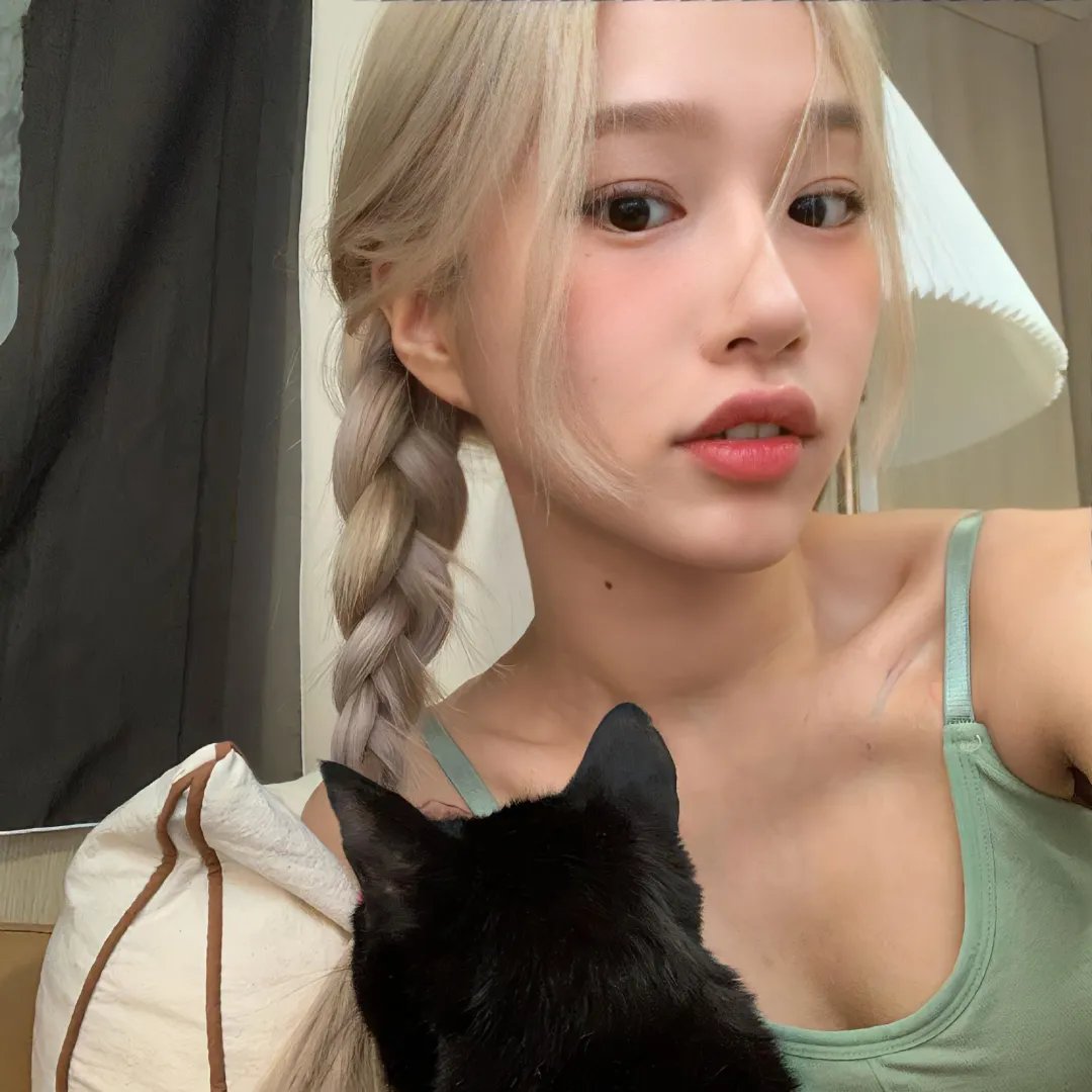 刚左档案