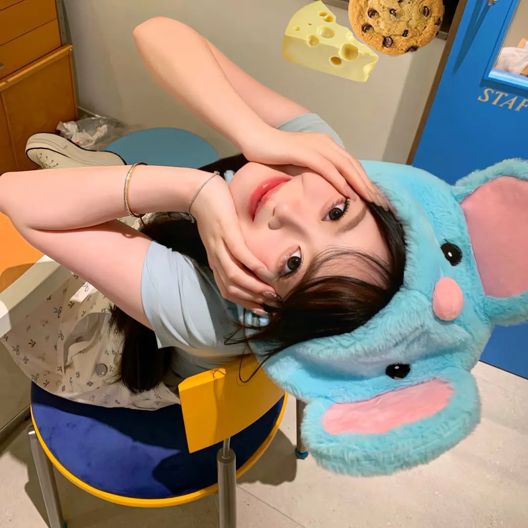 老拍挡